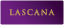 LASCANA, Dessous, Unterwäsche, Bademode, Bikini