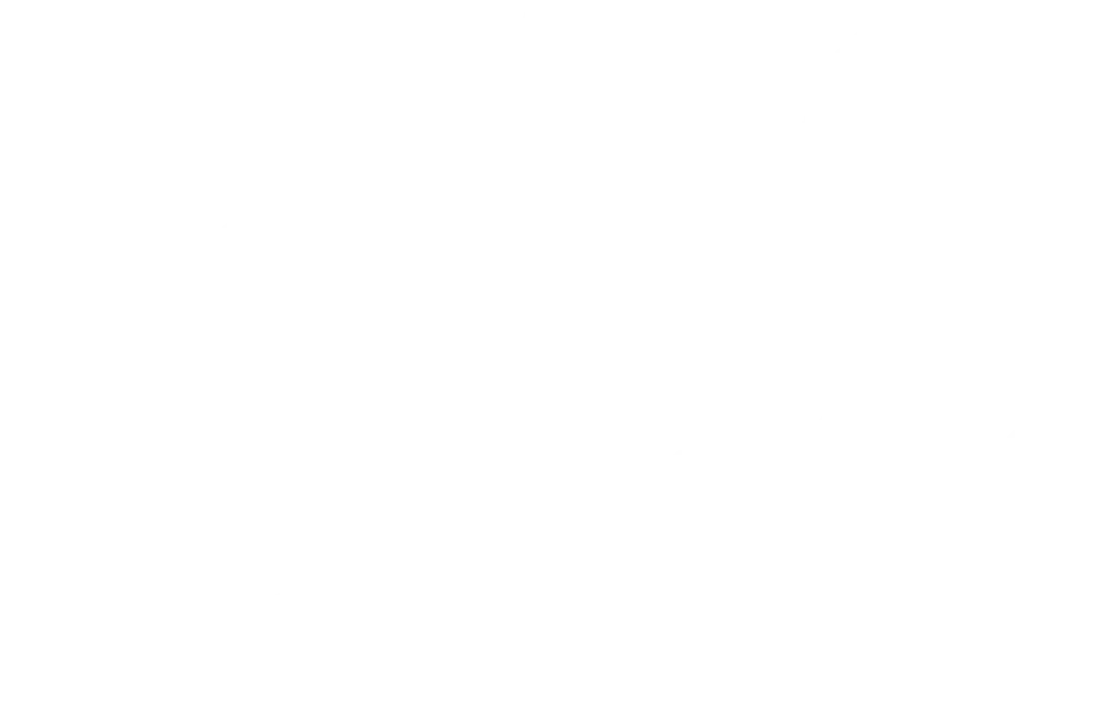H.I.S Logo