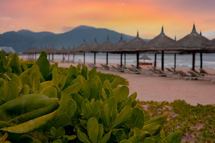 Alma Resort