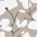 beige-creme bedruckt