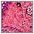 rosa-bedruckt