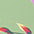 multi-color