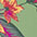 multi-color