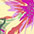 multi-color