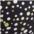 schwarz-gepunktet