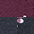 navy, berry
