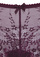 aubergine