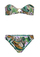 wild_leopard