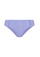 lilac_frost