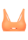 neon_orange