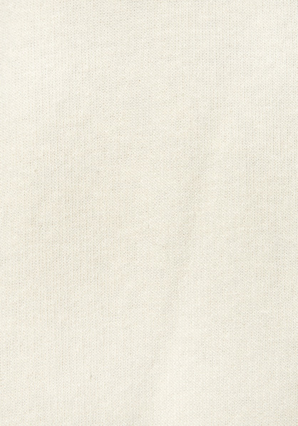 Blusenshirt