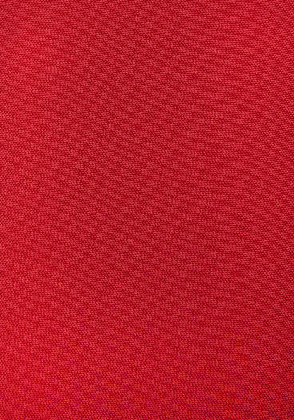 Palazzohose