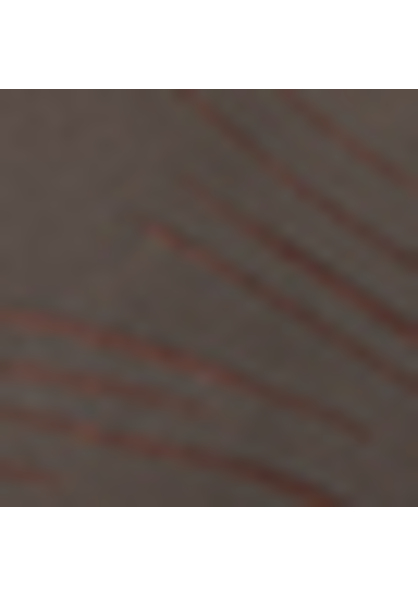 Funktionsshorts