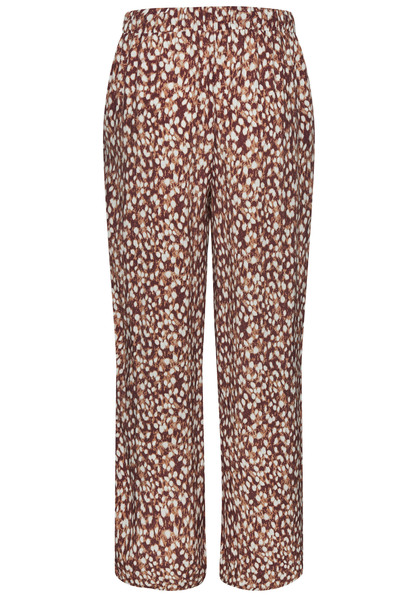 Palazzohose