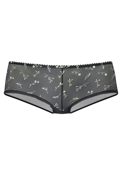 Panty