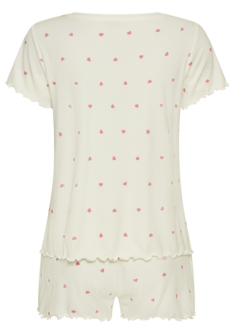 Bild: Shorty von Vivance Dreams: 